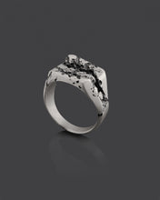 Load image into Gallery viewer, FREKTUR-SIGNET-RING