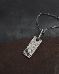 PLARR-PENDANT