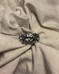 EARTH-RING