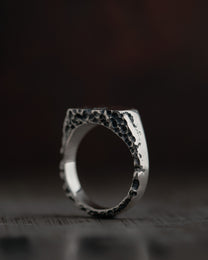 ERRO-SIGNET-RING