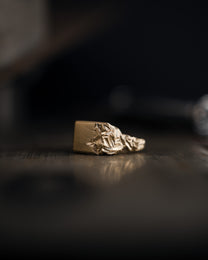 GOLD-RYVK-RING