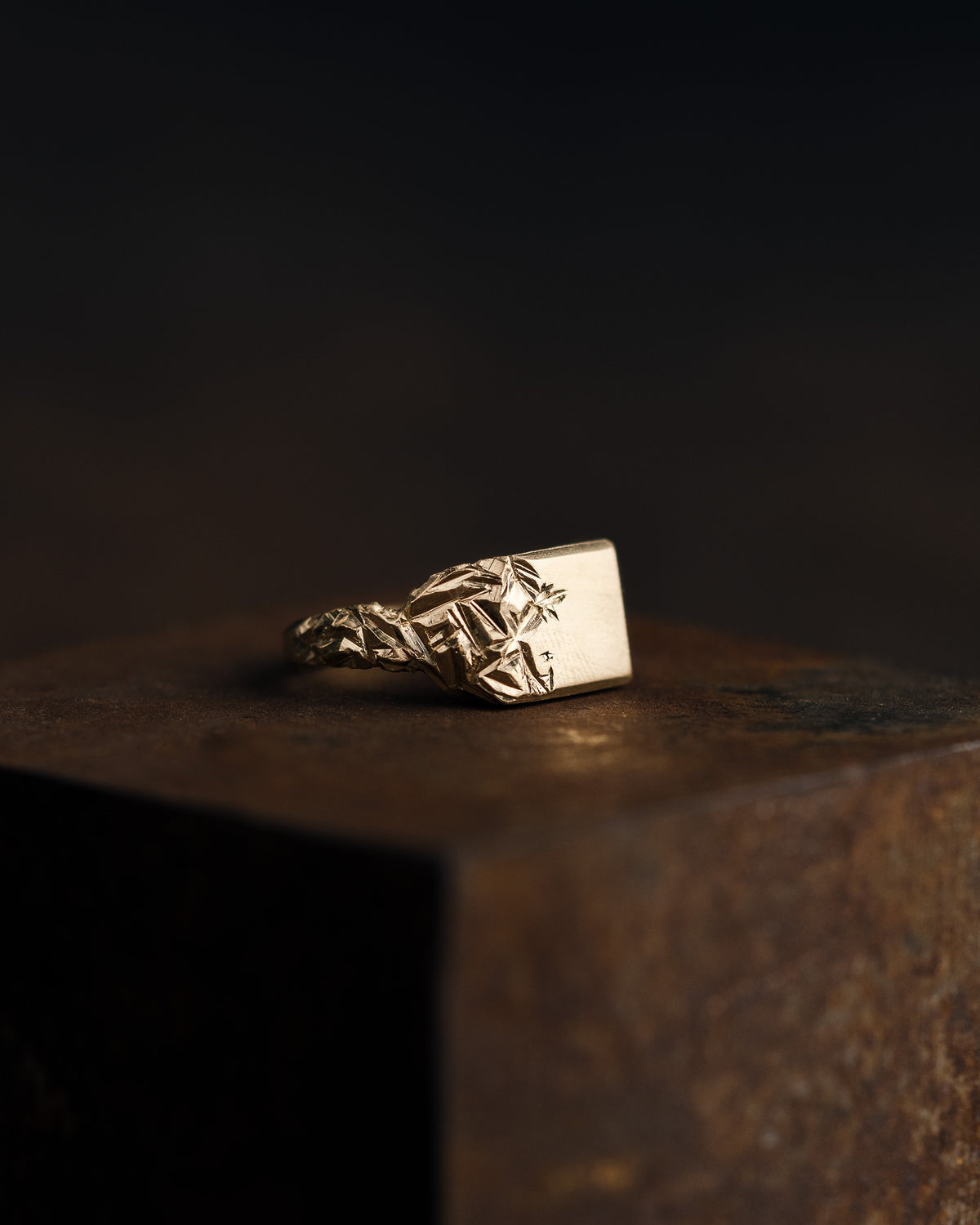 GOLD-RYVK-RING