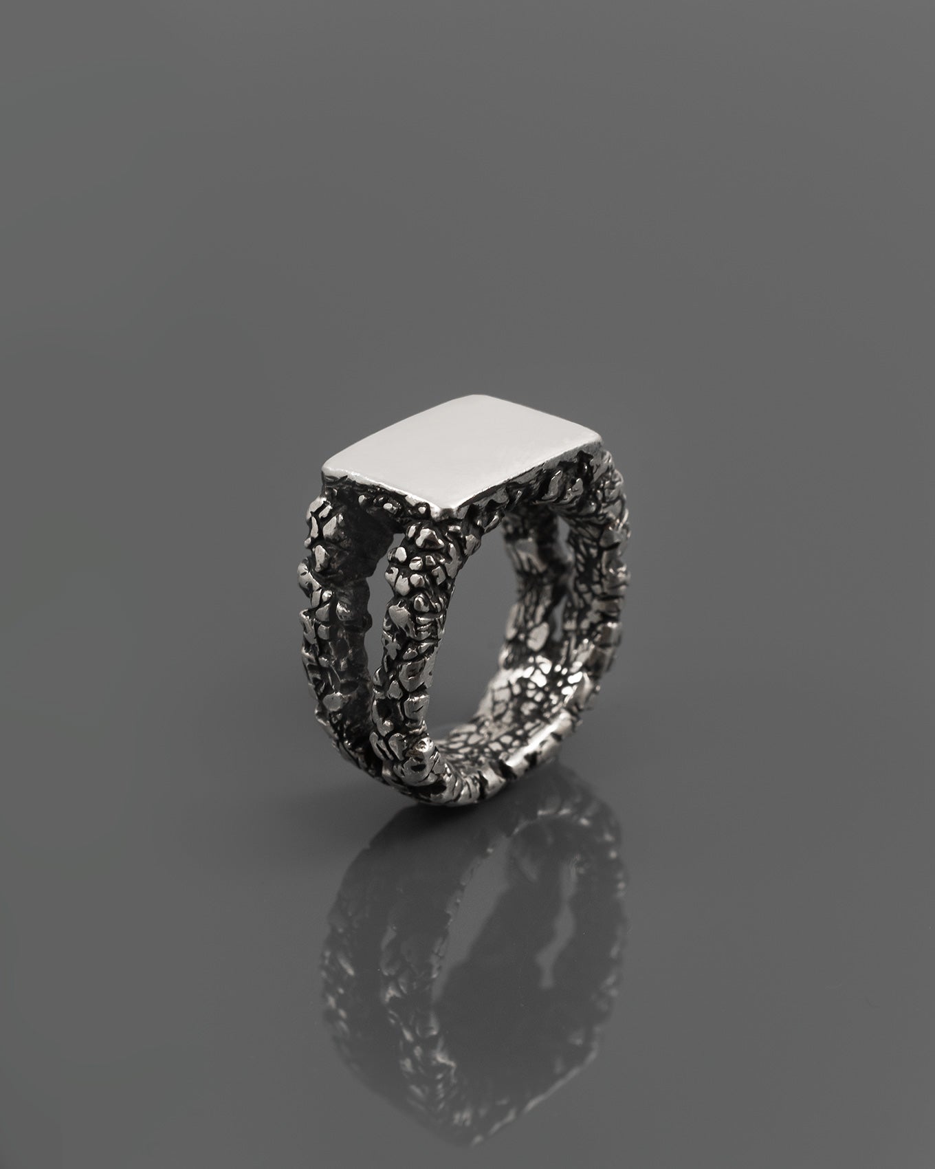 SUBSTRUCTURE-SIGNET-RING
