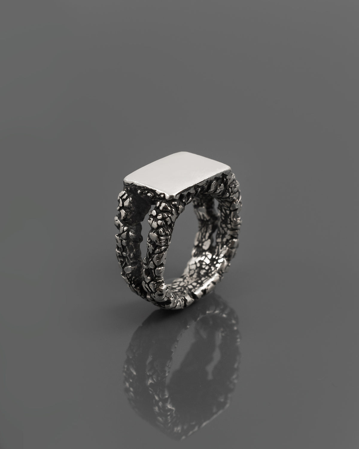 SUBSTRUCTURE-SIGNET-RING