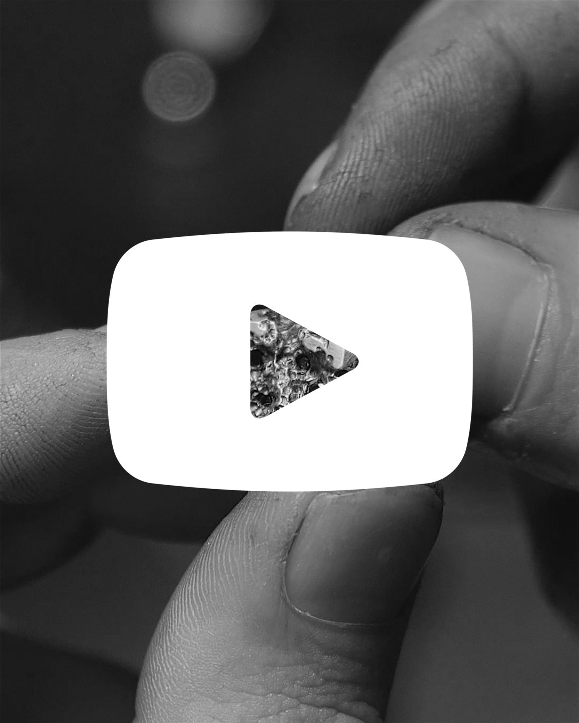 "https://player.vimeo.com/video/388479358?autoplay=1&amp;loop=1&amp;title=0&amp;byline=0&amp;portrait=0"
