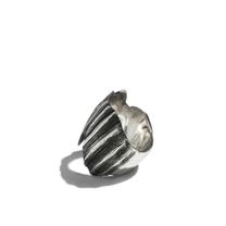 SCALE-RING