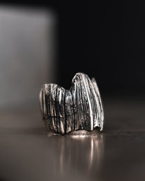 SCALE-RING