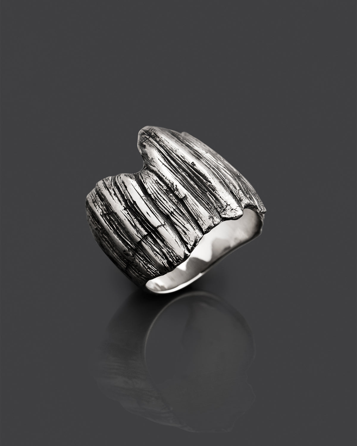 SCALE-RING