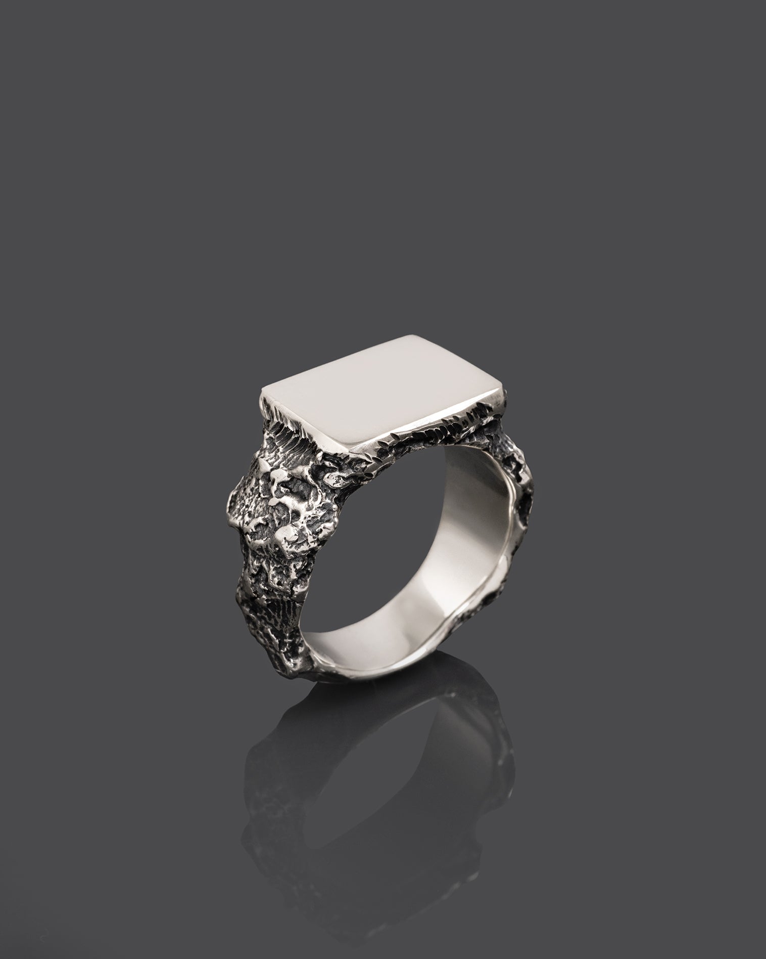 VERMINO-SIGNET-RING // GONE.ARCHIVE - Artisan Jewellery